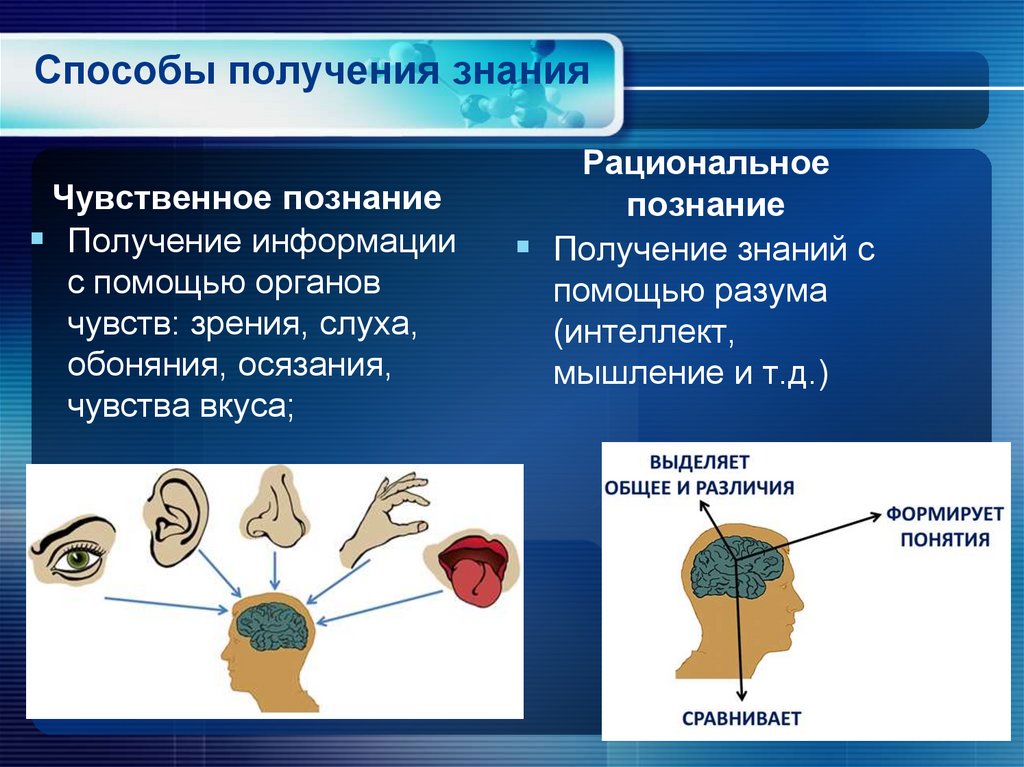 Способы получения знания