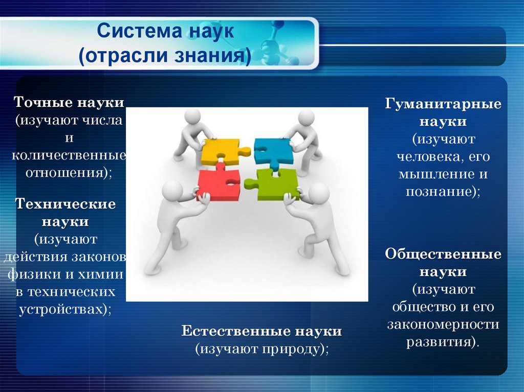 Система наук (отрасли знания)