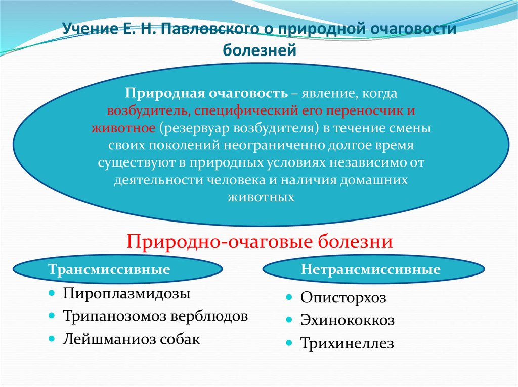 Учение Е. Н. Павловского о природной очаговости болезней