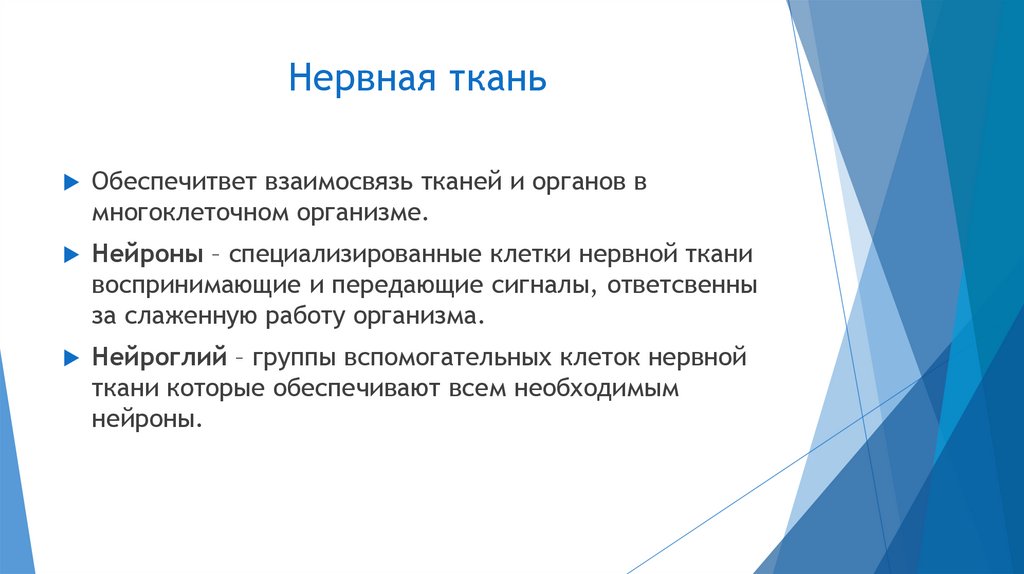 Клеточный уровень жизни