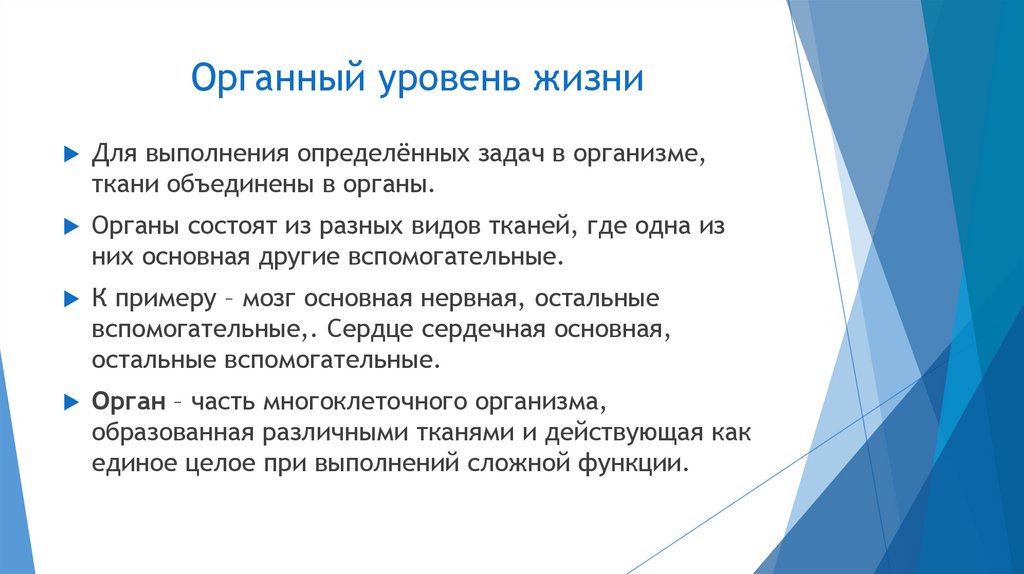 Мышечные волокна