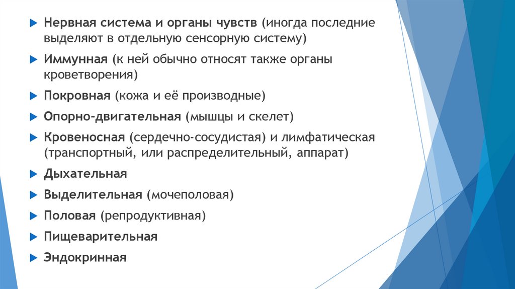 Системно – органный уровень жизни