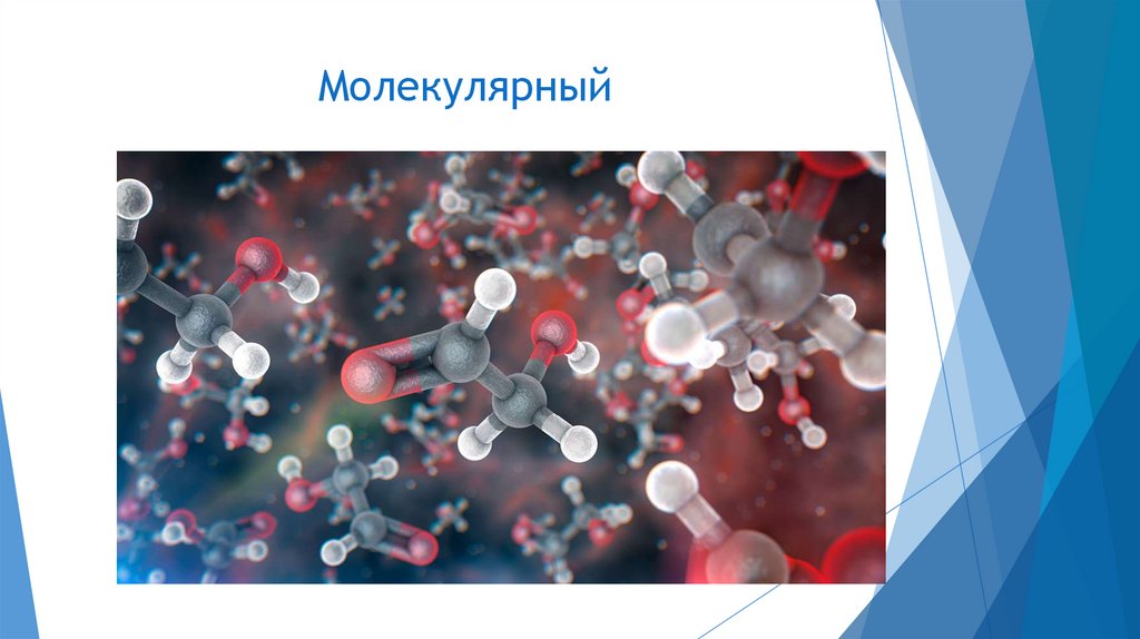 Молекулярный