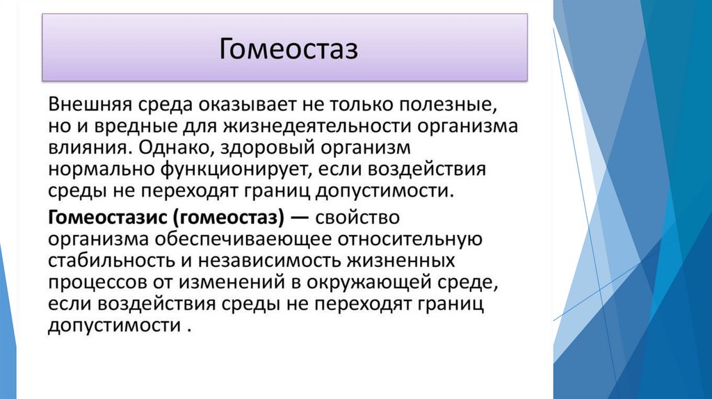 Эндокринная система