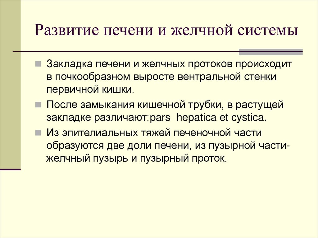 Развитие печени и желчной системы