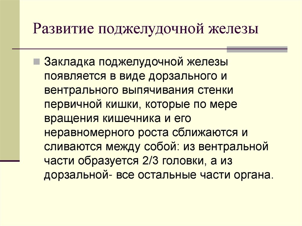 Развитие поджелудочной железы