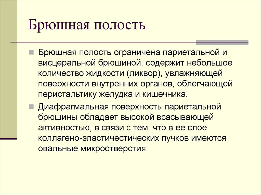 Брюшная полость