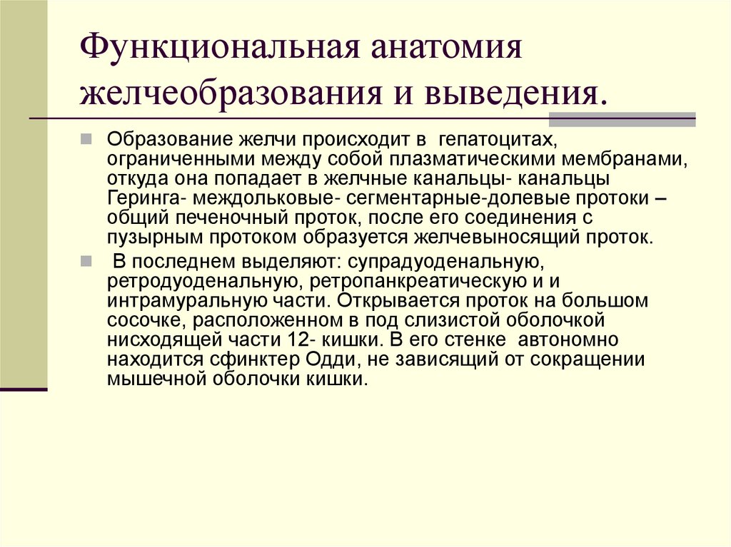 Функциональная анатомия желчеобразования и выведения.