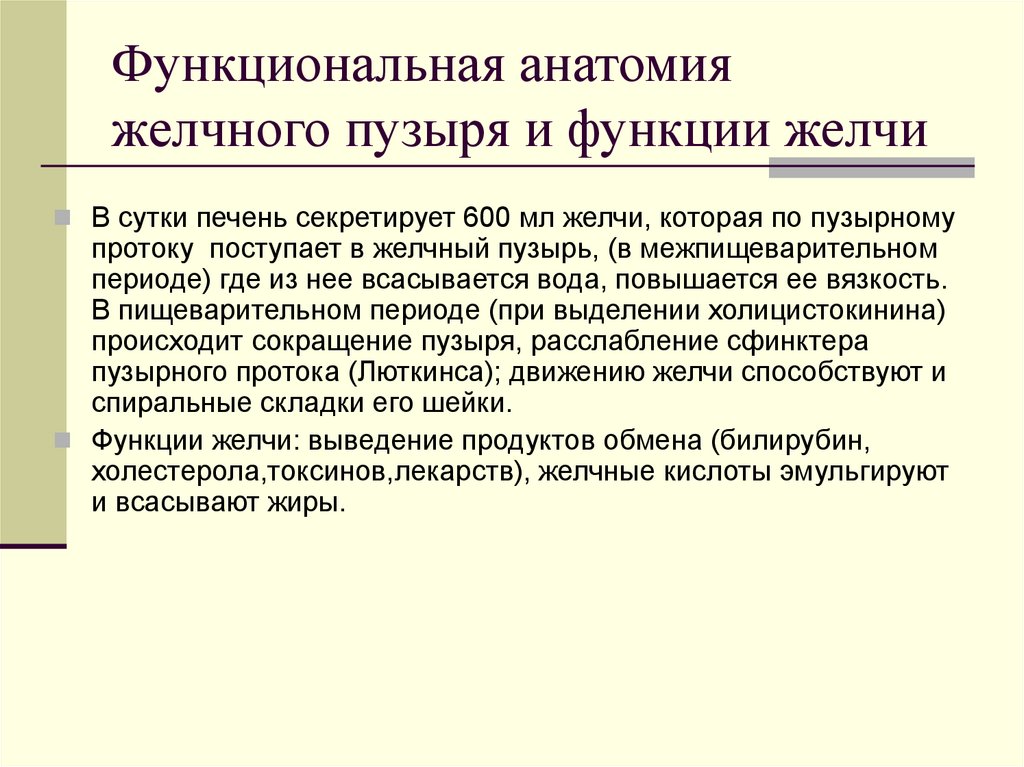 Функциональная анатомия желчного пузыря и функции желчи