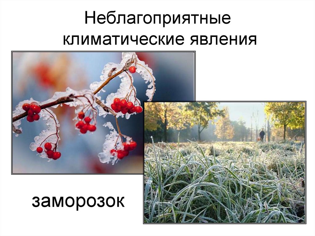 Неблагоприятные климатические явления