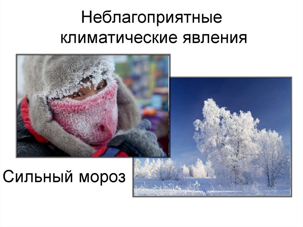 Неблагоприятные климатические явления