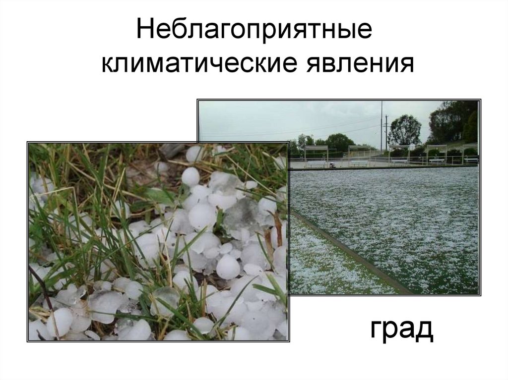 Неблагоприятные климатические явления