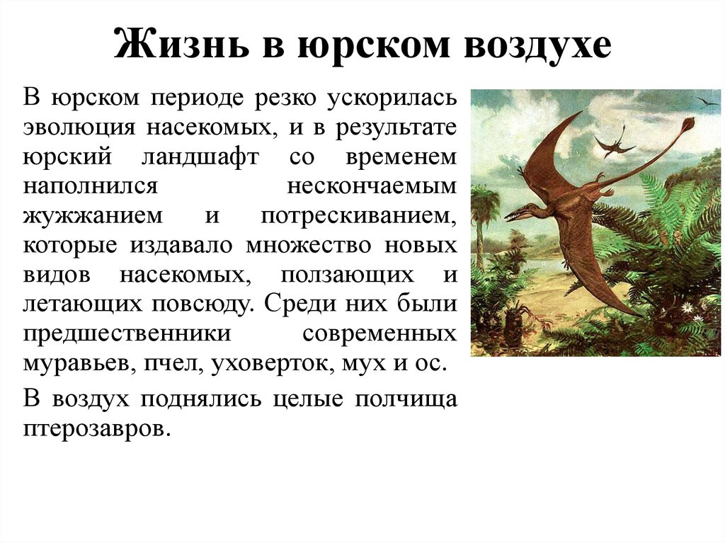 Жизнь в юрском воздухе