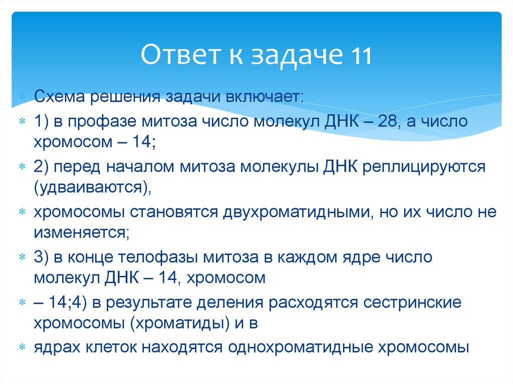 Ответ к задаче 11