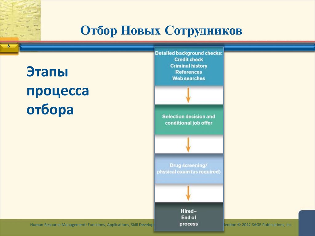 Отбор Новых Сотрудников