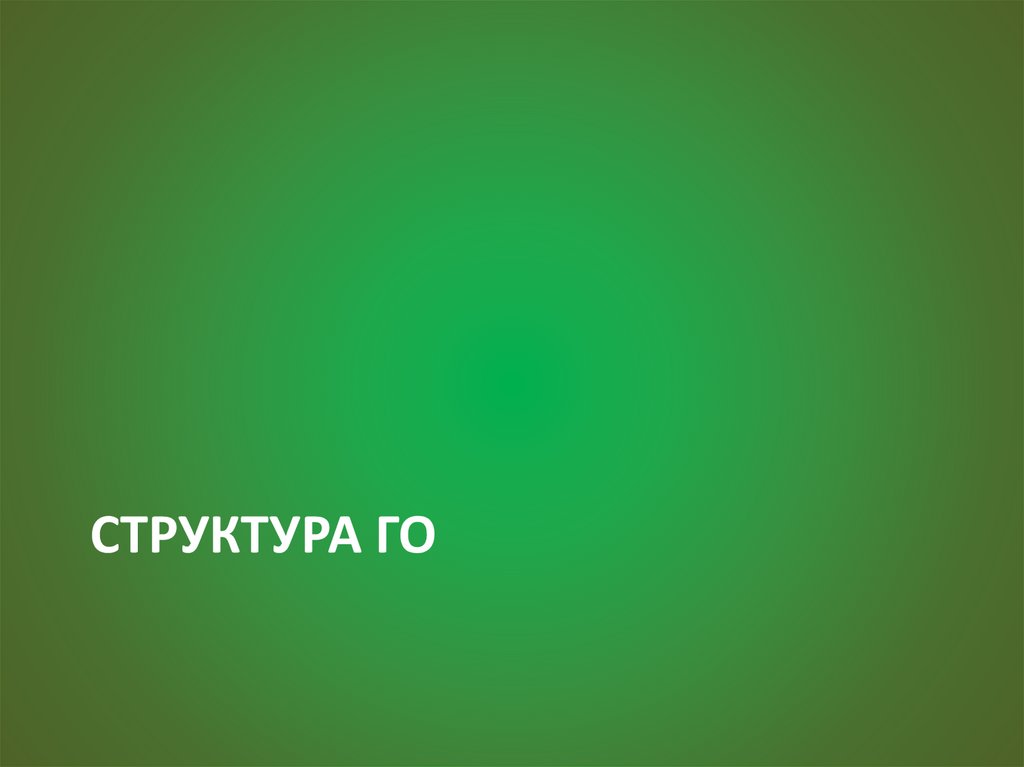 СТРУКТУРА ГО