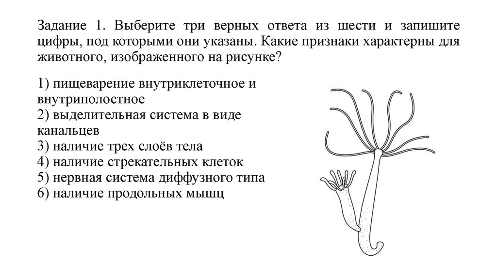 Задание 1. Выберите три верных ответа из шести и запишите цифры, под которыми они указаны. Какие признаки характерны для