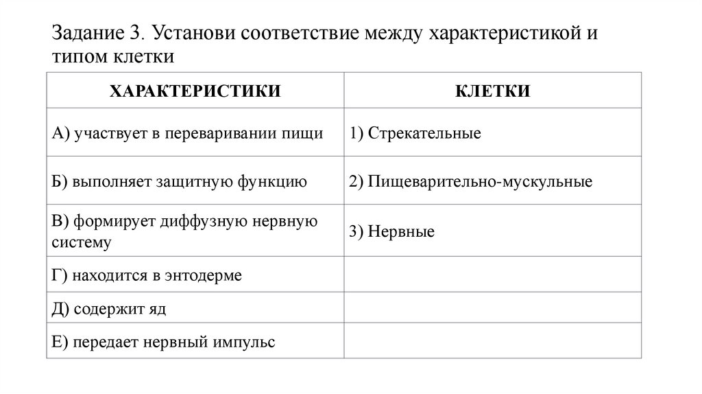 Задание 3. Установи соответствие между характеристикой и типом клетки