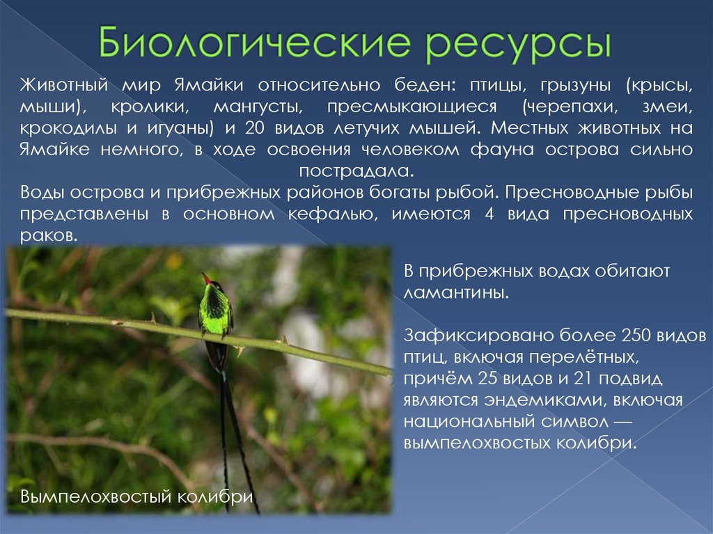 Биологические ресурсы