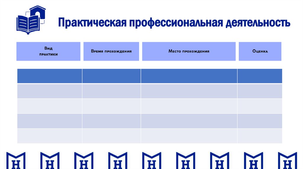 Практическая профессиональная деятельность