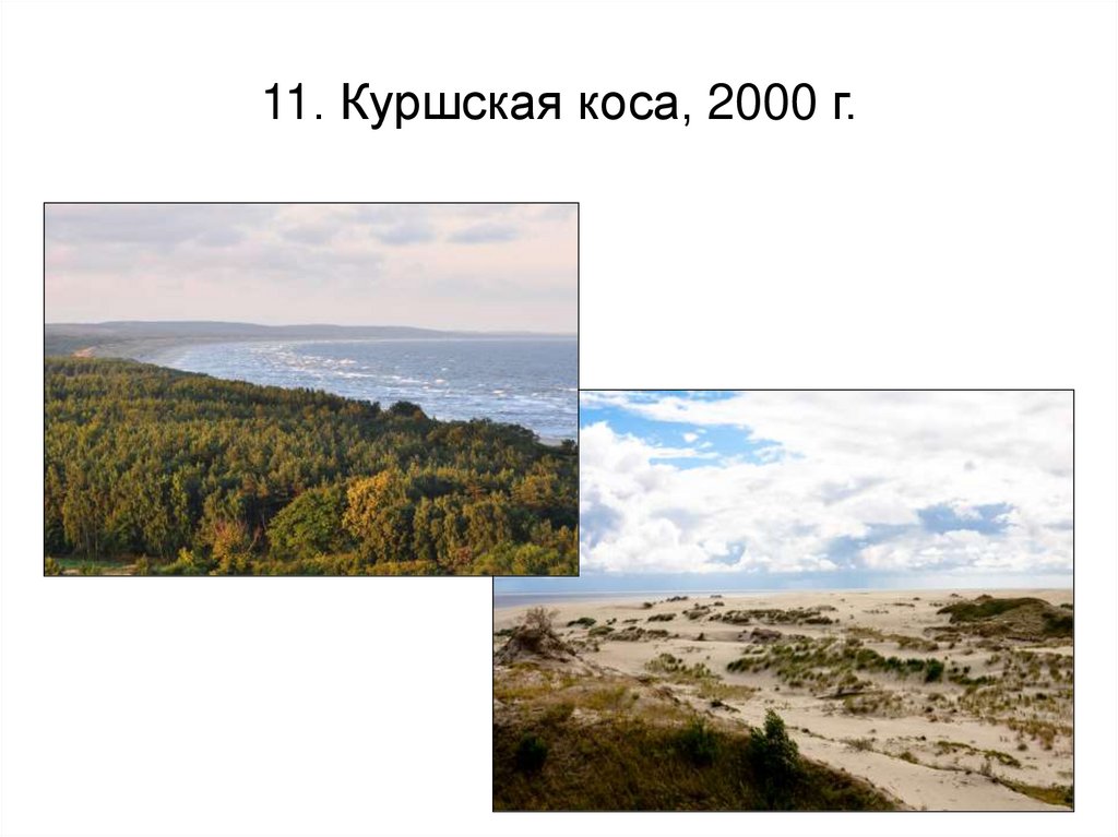 11. Куршская коса, 2000 г.