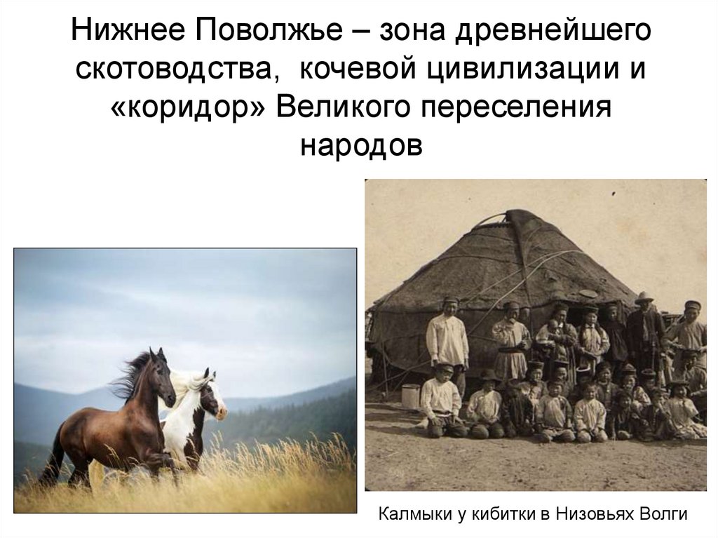 Нижнее Поволжье – зона древнейшего скотоводства, кочевой цивилизации и «коридор» Великого переселения народов