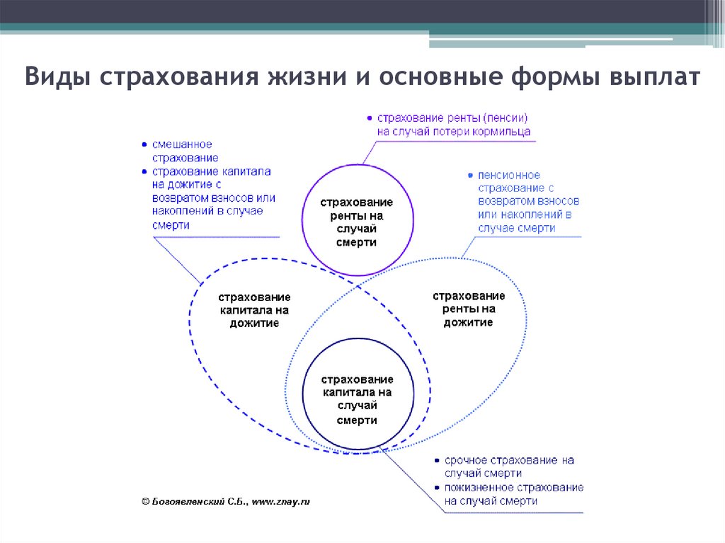 Виды страхования жизни и основные формы выплат