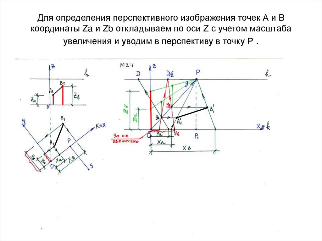 Для определения перспективного изображения точек А и В координаты Za и Zb откладываем по оси Z с учетом масштаба увеличения и