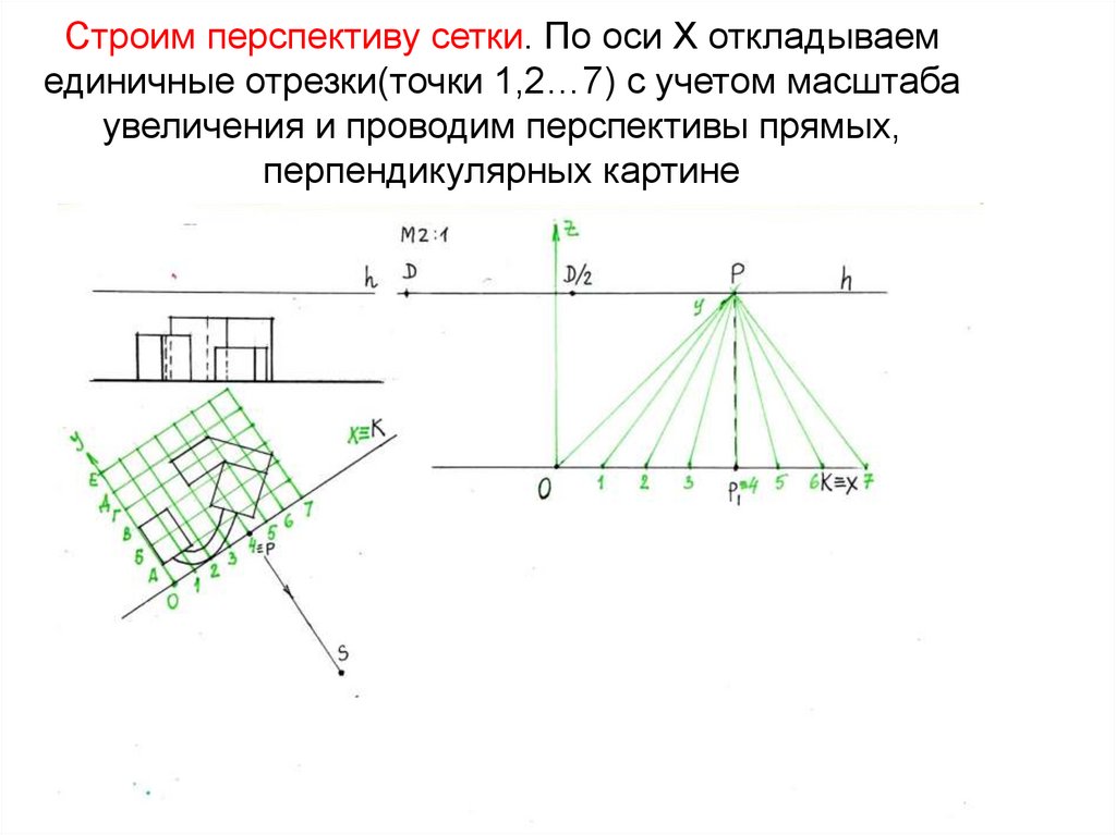 Строим перспективу сетки. По оси Х откладываем единичные отрезки(точки 1,2…7) с учетом масштаба увеличения и проводим
