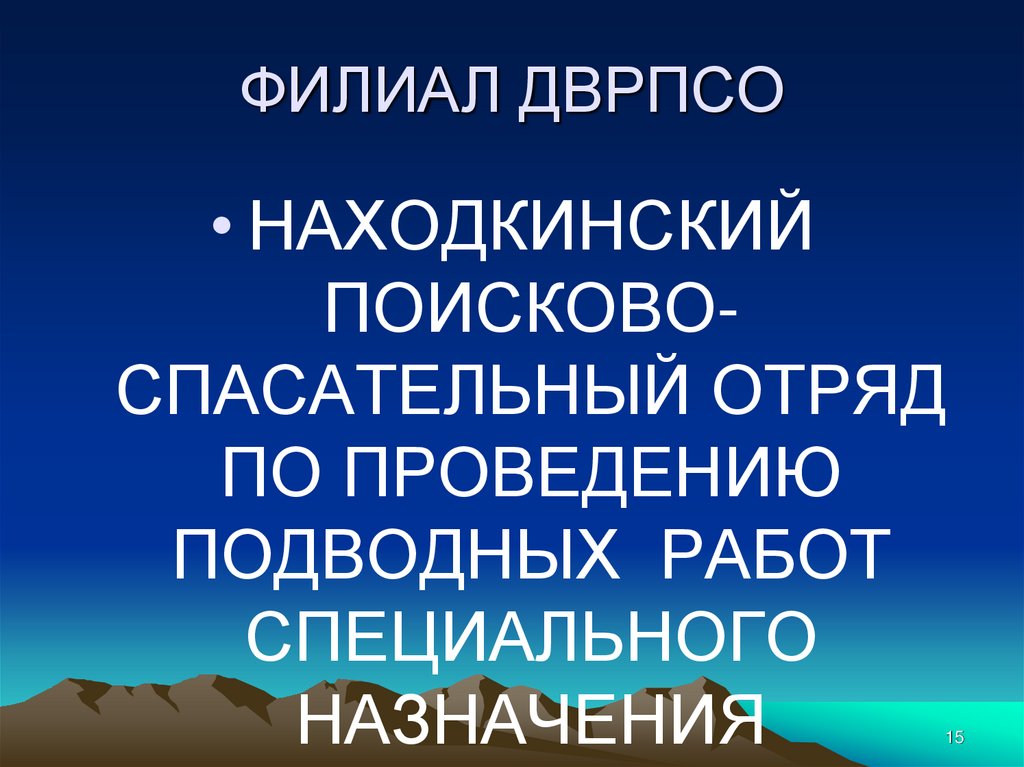 ФИЛИАЛ ДВРПСО