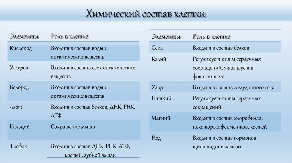 Химический состав клетки