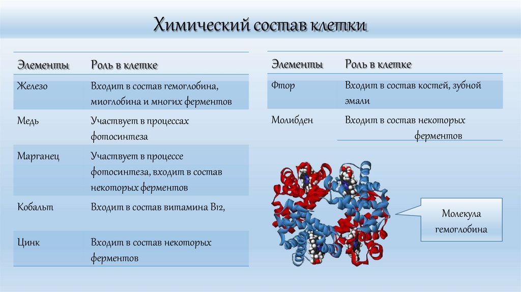 Химический состав клетки