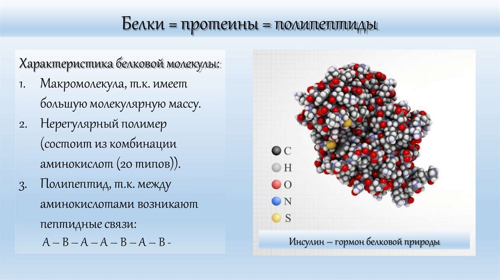 Белки = протеины = полипептиды