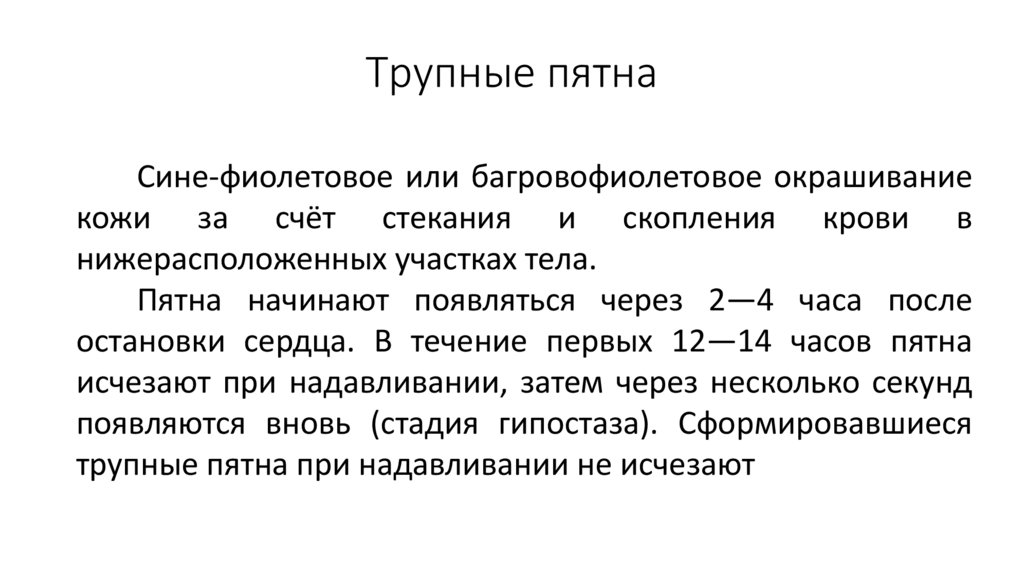 Трупные пятна