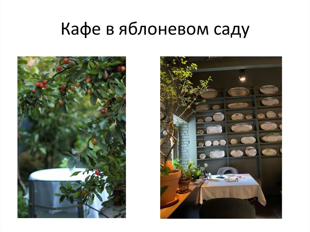 Кафе в яблоневом саду