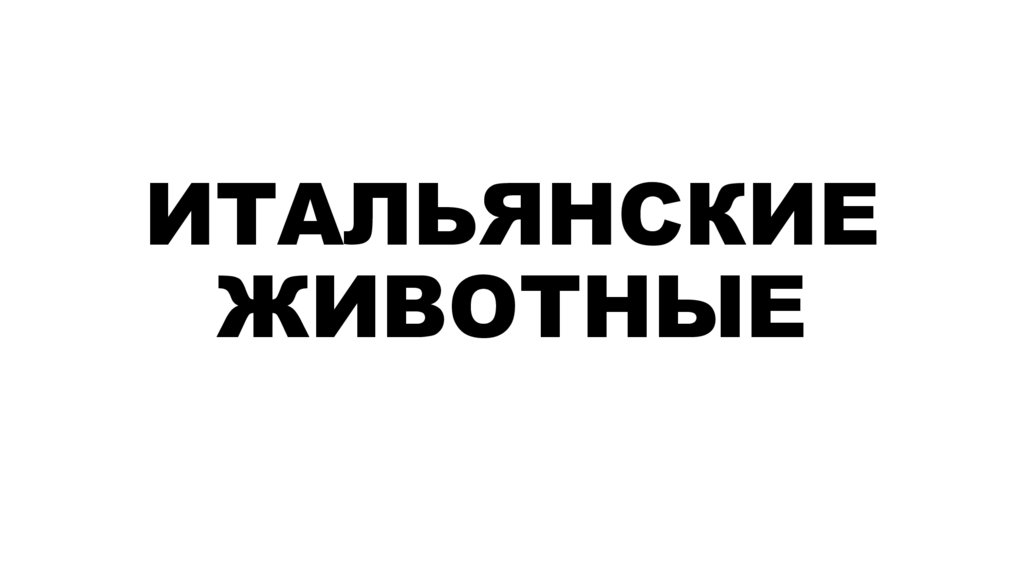 ИТАЛЬЯНСКИЕ ЖИВОТНЫЕ