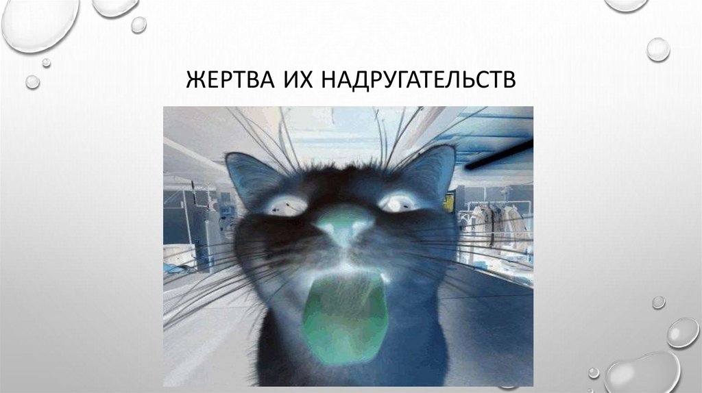 Жертва их надругательств