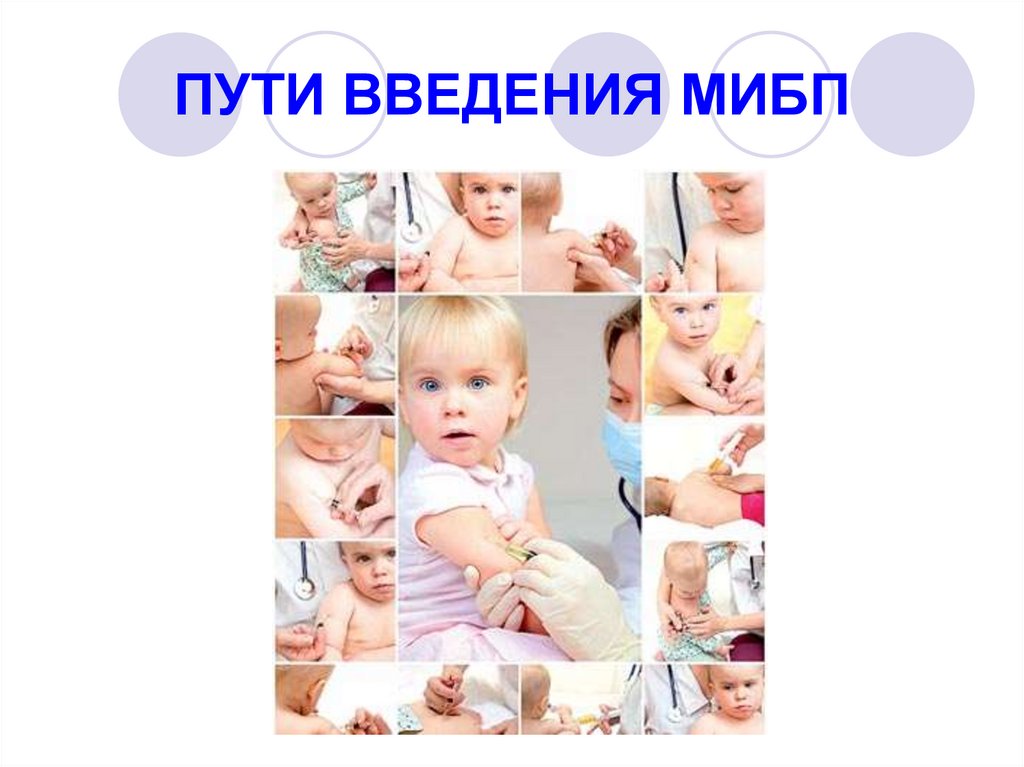 ПУТИ ВВЕДЕНИЯ МИБП