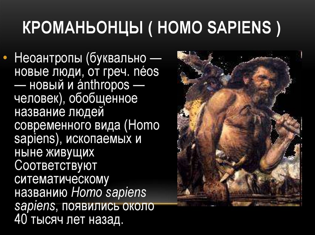 Кроманьонцы ( homo sapiens )
