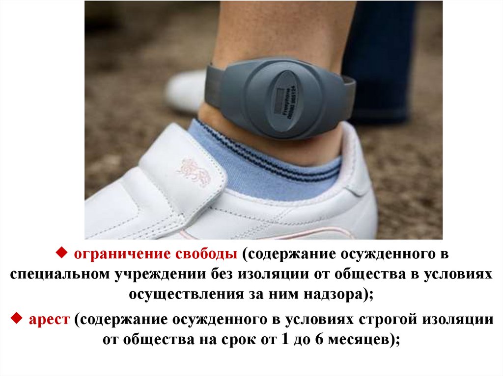 Меры административной ответственности