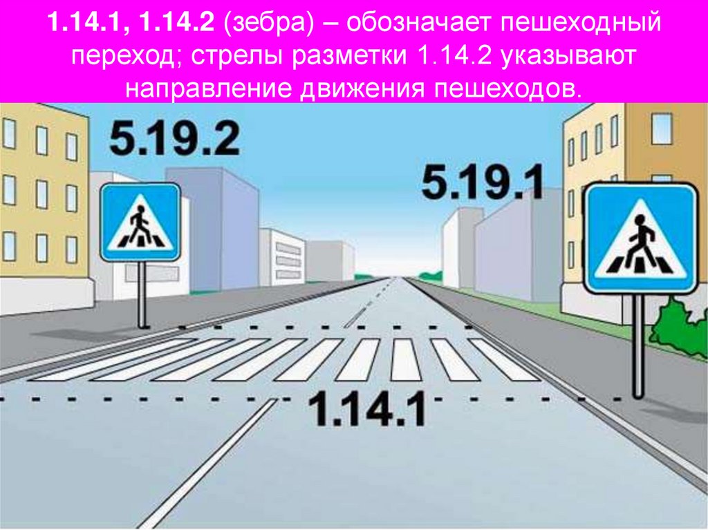 1.14.1, 1.14.2 (зебра) – обозначает пешеходный переход; стрелы разметки 1.14.2 указывают направление движения пешеходов.