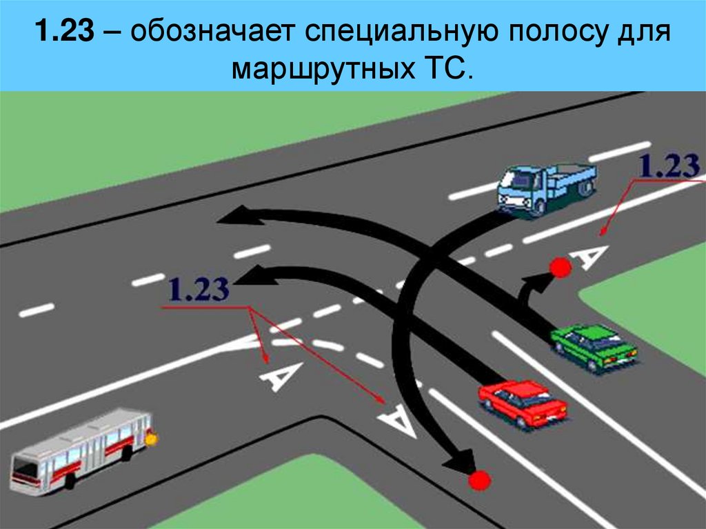 1.23 – обозначает специальную полосу для маршрутных ТС.