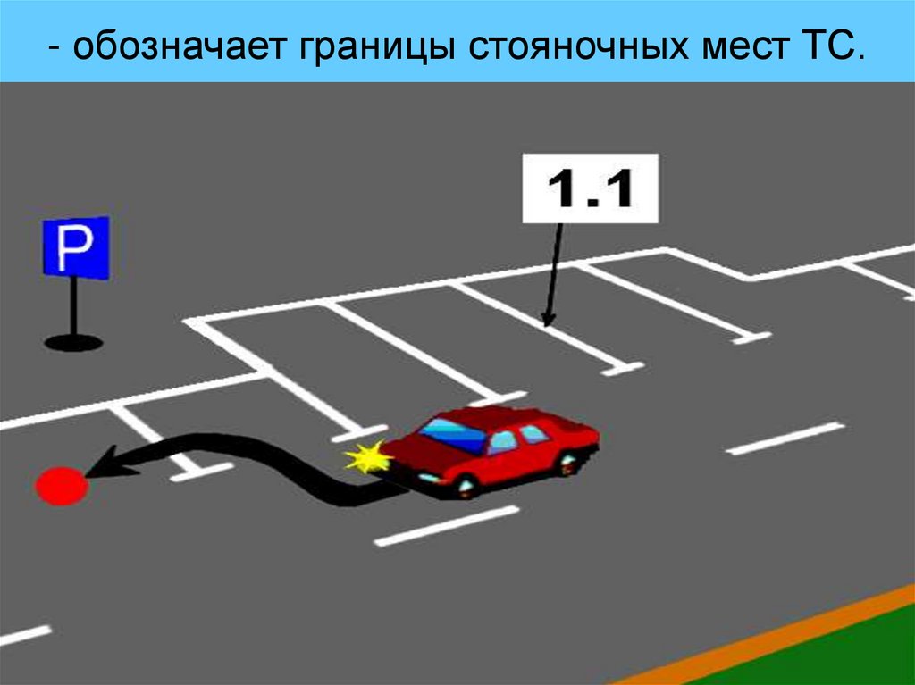 - обозначает границы стояночных мест ТС.