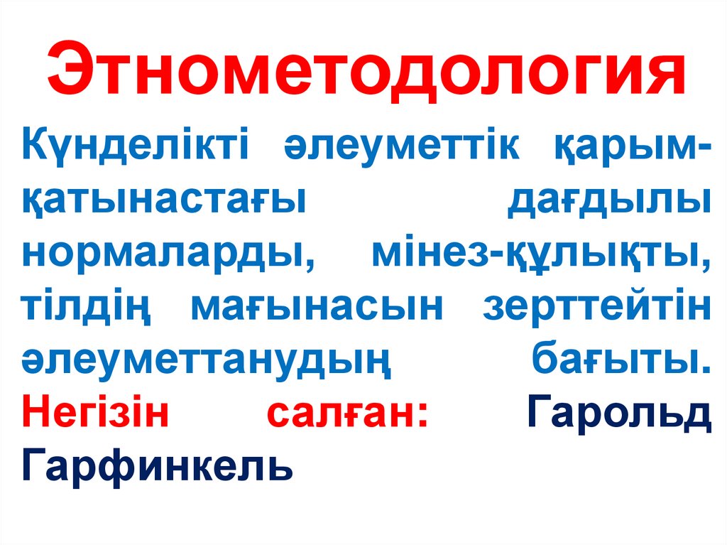 Этнометодология