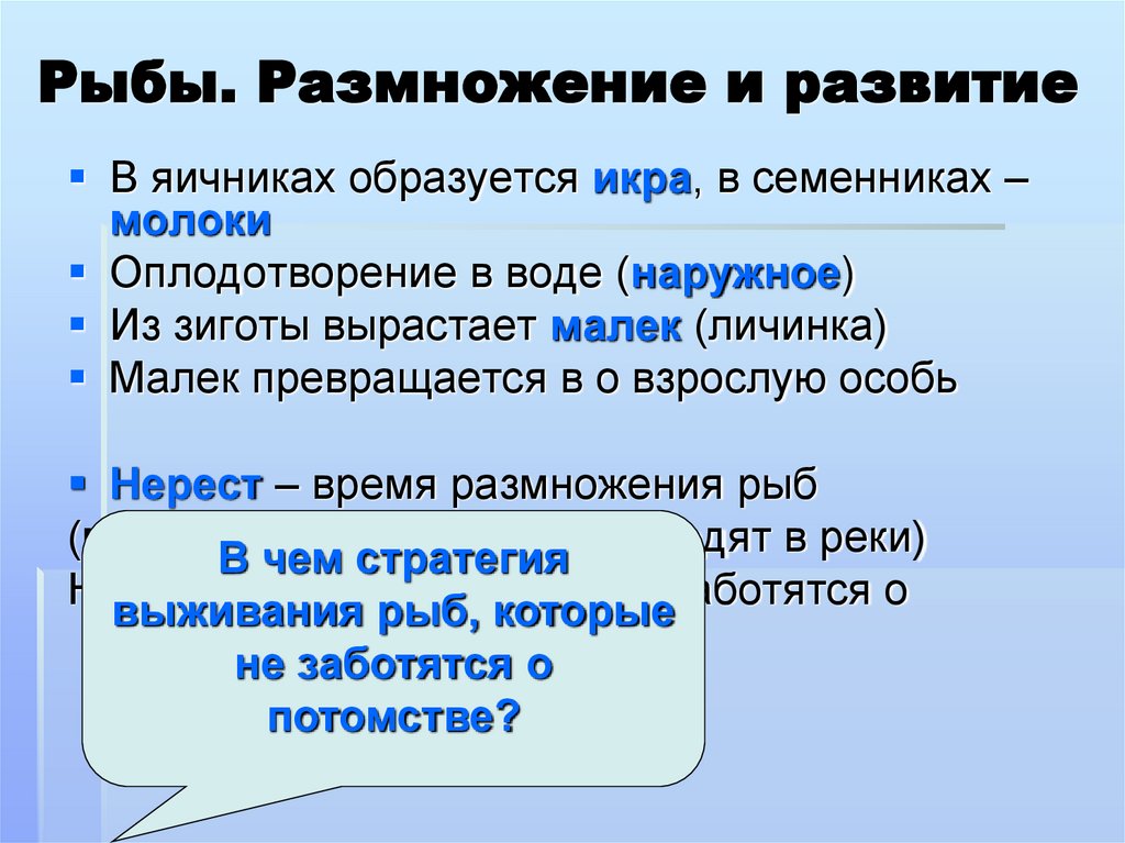 Рыбы. Размножение и развитие