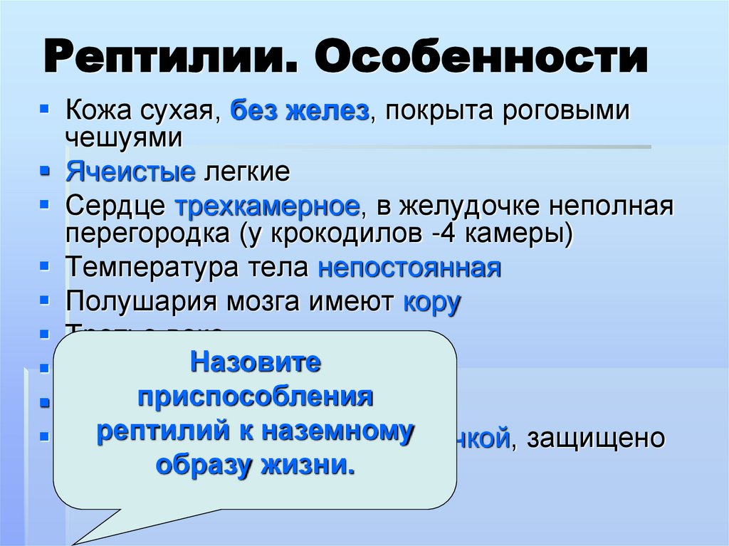 Рептилии. Особенности