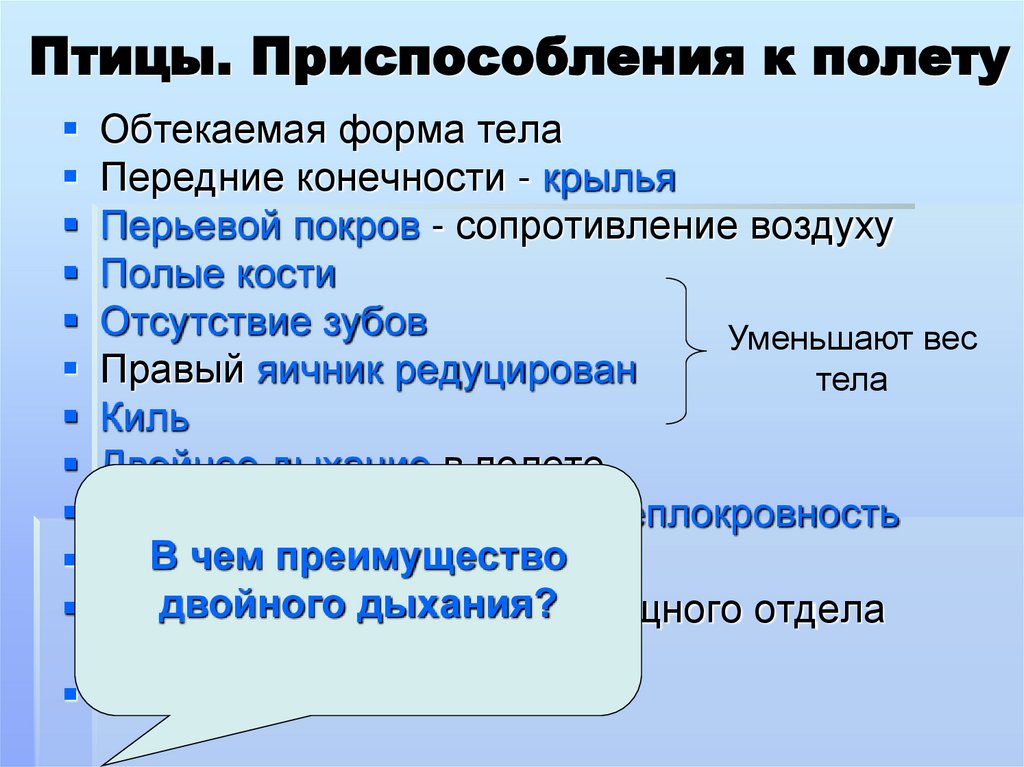 Птицы. Приспособления к полету