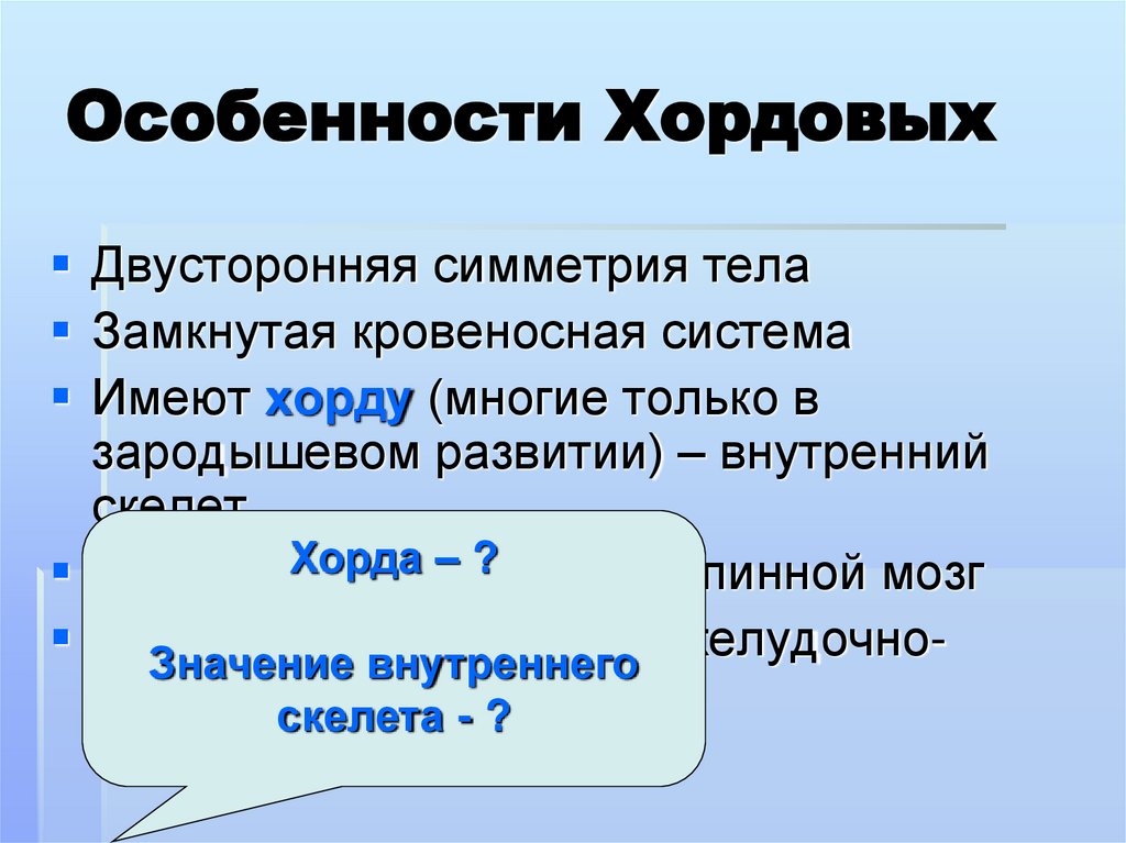 Особенности Хордовых