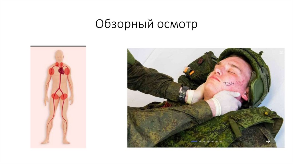 Обзорный осмотр