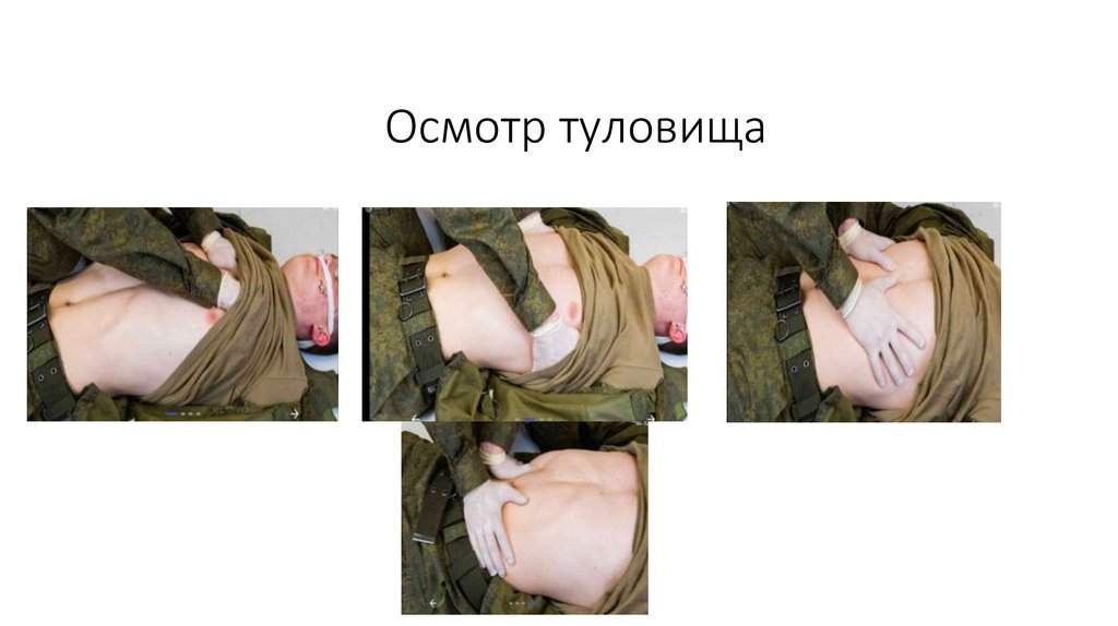Осмотр туловища